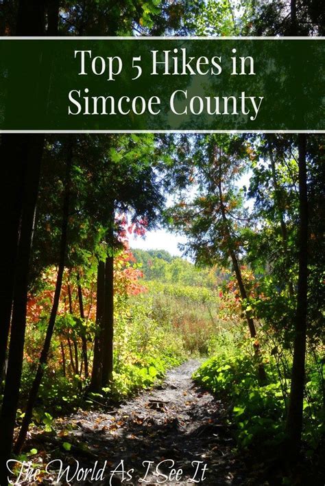 dating simcoe county